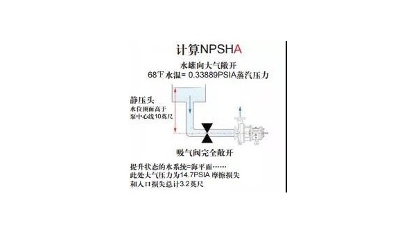 著魔的NPSHA